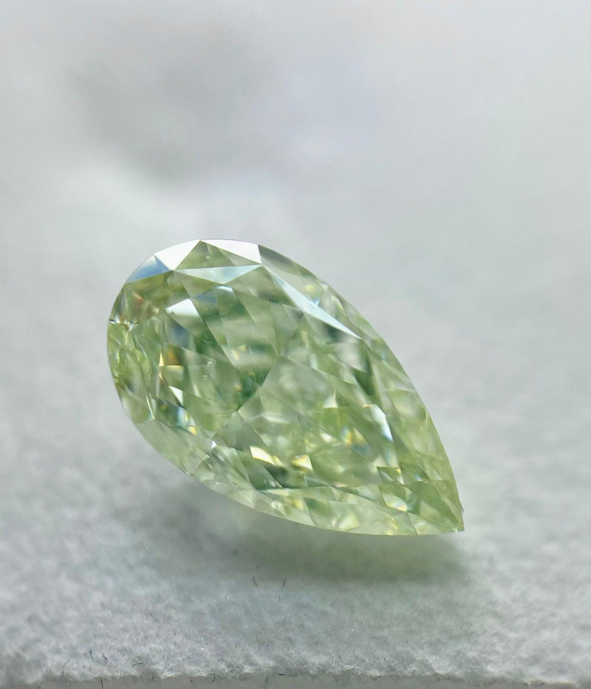 Fancy Light Yellow-Green